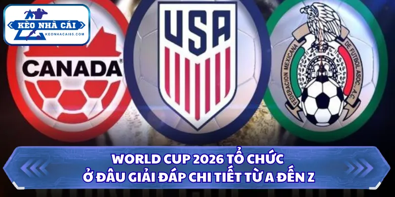 World Cup 2026 Tổ Chức Ở Đâu Giải Đáp Chi Tiết Từ A Đến Z 3 World Cup 2026 tổ chức ở đâu