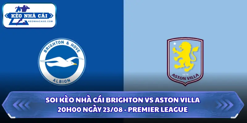 Soi Kèo Nhà Cái Brighton Vs Aston Villa Lúc 20h00 Ngày 23/08 - Premier League 3 Soi kèo nhà cái Brighton vs Aston Villa
